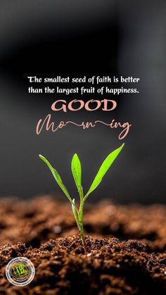 a small green plant sprouting from the ground with a quote about good morning