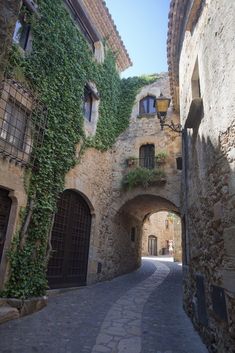 an alley way with stone buildings and ivy growing on the walls, leading to two arched doorways