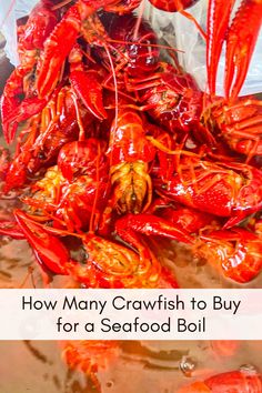 how many crawfish to buy for a seafood boil is it worth? and why