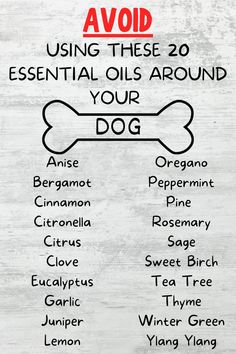 Here are 20 essential oils that you should avoid using around your dog. Essential oils are becoming more and more popular, and I want to protect your dog at all costs! Essential Oils Fleas Dogs, Essential Oils Toxic To Dogs, Dog Essential Oils, Essential Oils Safe For Dogs, Dog Safe Essential Oils, Illness Remedies, Valor Essential Oil, Essential Oils Dogs, Dog Spray