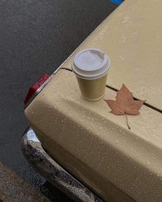 a cup of coffee sitting on the hood of a car with a leaf attached to it