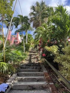 stairs leading up to the beach with palm trees and flowers on either side, in front of a pink house