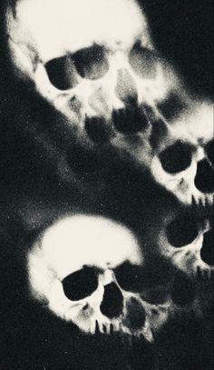 black and white photograph of skulls in the dark