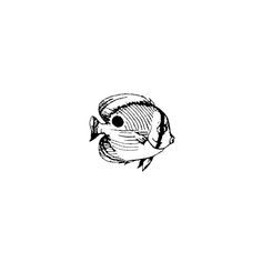 a black and white drawing of a fish