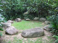 a large rock sitting in the middle of a lush green forest