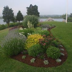 a flower bed in the middle of a grassy area next to a body of water