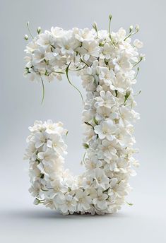 the letter d is made up of white flowers