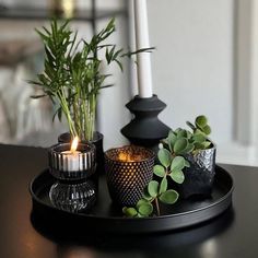 candles and plants sit on a black tray