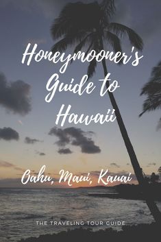 a palm tree with the words honeymooner's guide to hawaii