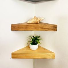 a potted plant sitting on top of a wooden shelf next to a white wall