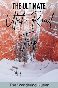 the ultimate road trip in the snow with text overlay