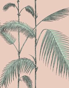 a palm tree with green leaves on a pink background