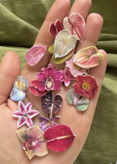 a person's hand holding several different types of flower brooches in their palm