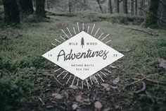 the wild wood adventures logo is surrounded by grass and trees in the woods with needles sticking out of it