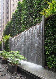 a water feature in the middle of a city with plants growing on it's sides