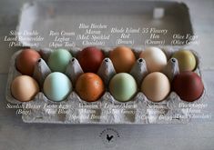 an egg carton filled with different colored eggs