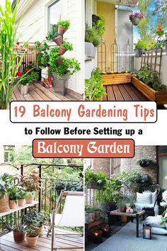 balcony gardening tips to follow before setting up a balcony garden