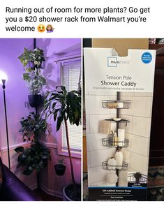 Shower Rack, Plant Hacks, Trailer Ideas, Growing Plants Indoors, House Plants Decor, Shower Caddy, House Plants Indoor, Meditation Room, Plant Mom