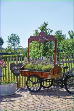 an old wooden cart with plants in it