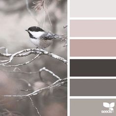 a bird sitting on top of a tree branch in front of a color swatch