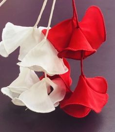 red and white flowers are hanging from strings