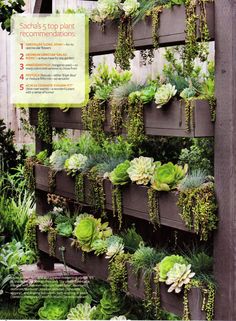 an outdoor planter filled with lots of succulents and other greenery