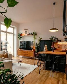 a living room filled with furniture and lots of plants on top of a hard wood floor