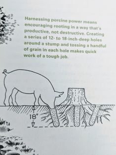 the diagram shows how to make a tree stump stand out from the rest of the trees