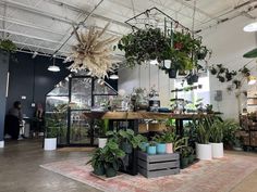 a room filled with lots of potted plants and hanging lights above the tables in front of them