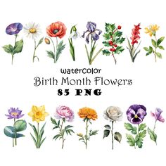 watercolor birth month flowers $ 5 png