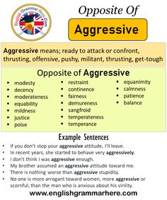 the opposite words in english are used to describe an aggressive or aggressive person's actions