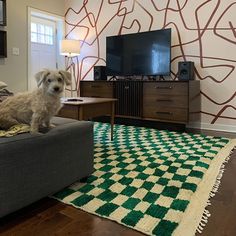 a dog sitting on top of a couch in front of a flat screen t v