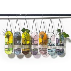 a group of stained glass hanging from a metal bar with plants in them on it