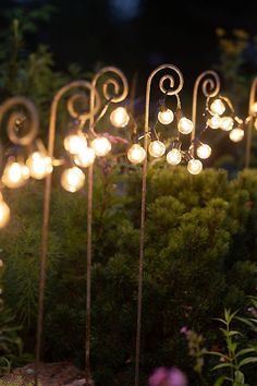 there are many lights that are on the poles in the garden, and one is lit up