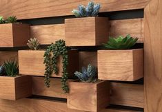 several wooden boxes with succulents and plants in them hanging on a wall