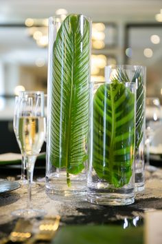 there is a green plant in the glass vases on the table with wine glasses