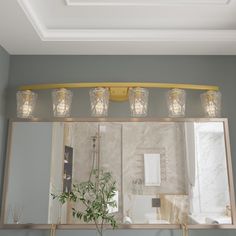 a bathroom mirror with lights above it and a potted plant on the counter top