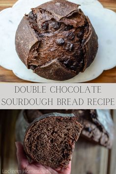 Double chocolate sourdough bread is a fun twist on a tried and true staple. Combing two favorites, sourdough and chocolate, you can’t go wrong! You’ll love this soft, chewy sourdough bread made with cocoa powder along with bursts of chocolatey goodness from the added chocolate chips. This indulgent bread has a rich chocolate flavor along with the benefits of fermented sourdough bread. Sourdough Bread Chocolate Chip, Bucket Bread Recipe, Little Spoon Farm Sourdough Bread, Chocolate Chunk Sourdough Bread, Kates Soft Sourdough Master Recipe, Littlespoonfarm Sourdough Brownies, Choc Sourdough Bread, Great Bread Recipes, Chocolate Sourdough Discard Bread