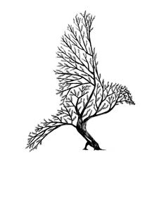 a black and white drawing of a tree with no leaves