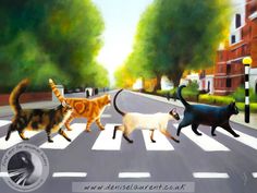 three cats are crossing the street in front of another cat that is walking behind them