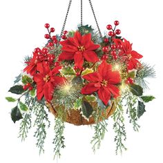 a hanging basket filled with poinsettis and greenery