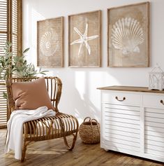 a chair with pillows on it in front of three framed seashells and a potted plant