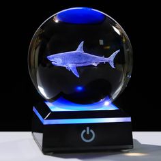 a glass ball with a shark in it on top of a table next to a black background