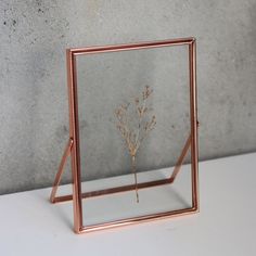 a metal frame with a plant in it on a white countertop next to a gray wall