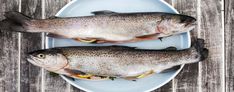 two fish sitting on top of a white plate next to each other in front of a wooden table