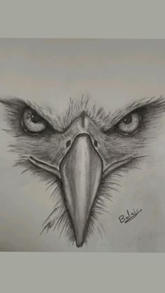 a drawing of an eagle's face with large eyes