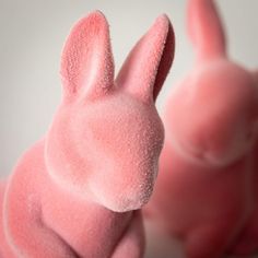 two pink bunny shaped candies sitting next to each other