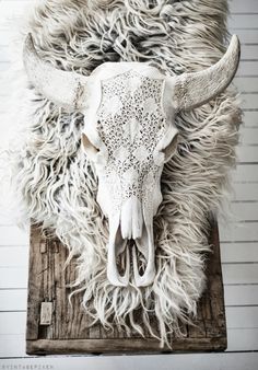 a cow skull with long horns and white fur