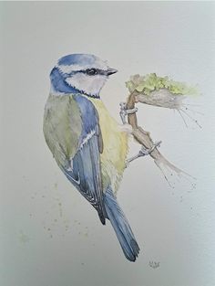 a watercolor painting of a blue bird perched on a branch