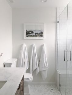 a bathroom with white towels hanging on the wall